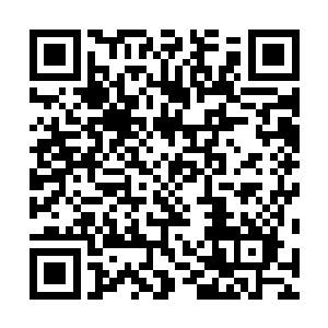 还让仙雅楼来的厨子做了几只大肘子放到食盒里摆在空间二维码生成