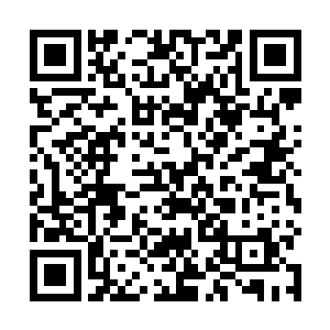 还让她原本平淡之极的生活多了一点小趣味和小期待的二维码生成