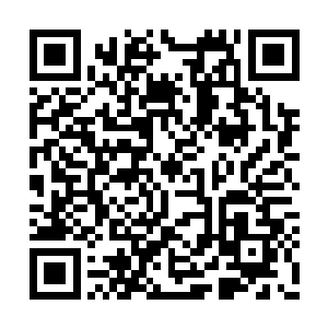 还该有不少神力的气息残留在玄鸦子的识海才是二维码生成