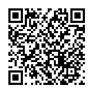 还说我是幕后策划人……倩妮她们大晚上还赶去加班了二维码生成