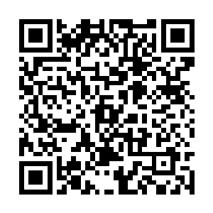 还说要去告花姨娘的弟弟私自逃出皇家乐坊的大罪二维码生成