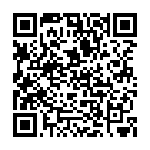 还请你们三人带着十大至尊长老去会一会青山阁二维码生成