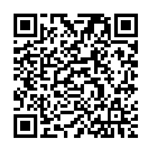 还请皇上看在微臣这些年在皇上身旁尽心尽力的服侍皇上的份上二维码生成