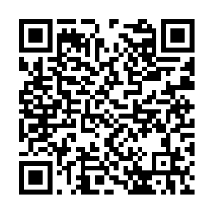 还请诸位仙医赏脸品尝一下我们剑仙宗的特色小菜二维码生成