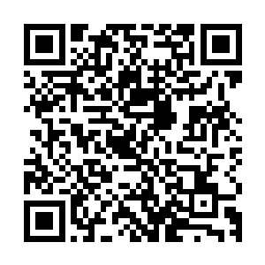 还跟巴克一起把那厚厚的木头大门给关回去压上里面的粗壮门闩二维码生成