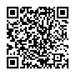 还还是很清楚自己不是哈迪斯的对手这一个事实的二维码生成