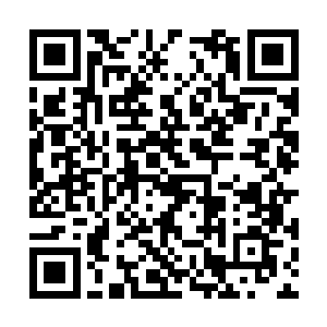 还远在凌海市大别墅的冉冉却是被震惊的无可附加二维码生成