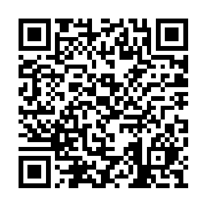 还需要七七四十九种灵药和寻到神兽朱雀的赤巢二维码生成