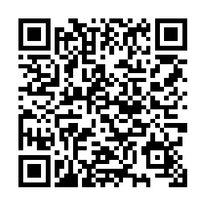 还需要十二套能发挥元婴和化神境界最强战力的高阶晶铠二维码生成