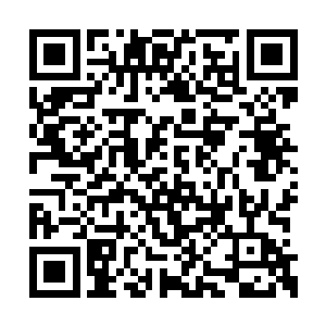 还需要根据演化后的招数修炼才能够逐渐的掌握二维码生成