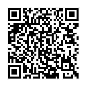 还需要武当道士日复一日的独门锻体术相辅相成二维码生成