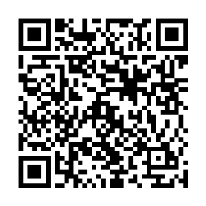 还需要沈凡重新炼制一些品质高潜力大的源材进入其中二维码生成