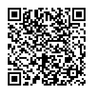 还魂续命起死回生聊负重伤的诸多灵丹全都是二货大人赶工出来的好么二维码生成