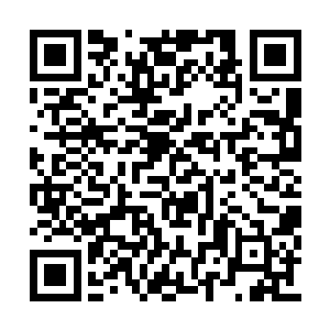 这……五万金币已经是咱们霍家两三个月的收入二维码生成