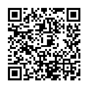 这……怎么的……师父不是……活过来了么……二维码生成