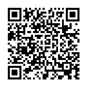 这……这……这个家伙……居然……居然……是来找茬的二维码生成