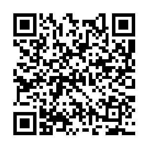 这……这不是您亲自吩咐那些记者们要播出来的么二维码生成