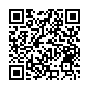 这……这他妈根本就是一头狮子啊……二维码生成