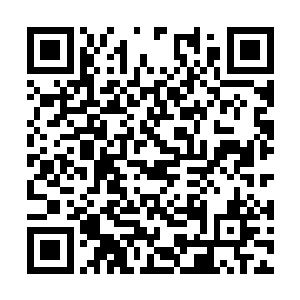 这……这岂不又是一个送上门来被敲竹杠的机会啊二维码生成