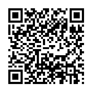 这……这林烽竟然一个人便将萧轩他们三个人给打趴下了二维码生成