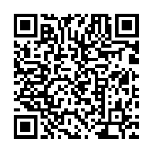 这……这次仙子去鬼雾冥海想必也是得知有天外至宝坠落二维码生成