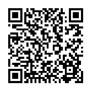 这一万多人当然不可能全都涌到野狼山谷去进行生存试炼二维码生成