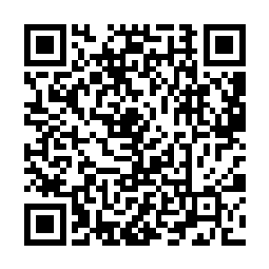 这一下倒是可以缓解纳鲁之书对马文的灵魂的影响了二维码生成