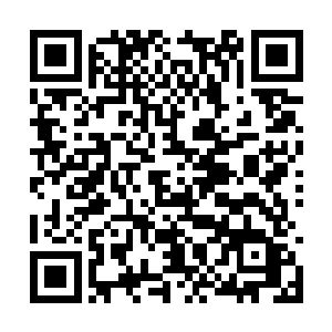 这一下子使得罗天家族瞬间一跃而成为整个圣界中二维码生成