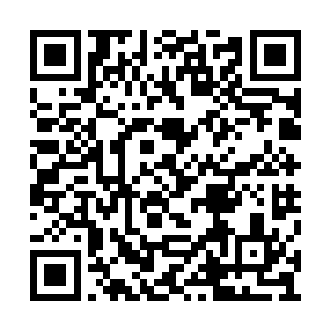 这一下连许紫烟和燕山魂的脸色也变得十分难看二维码生成