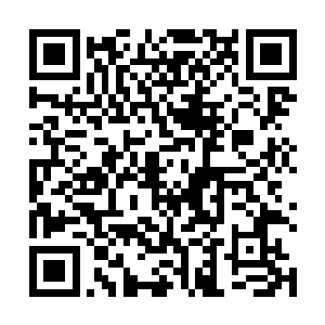 这一世的马文的确比游戏里刚进森林的小菜鸟强了太多二维码生成