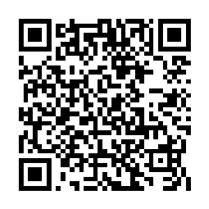 这一个个星域与星界的关系确实像是根须与树冠二维码生成