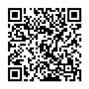 这一个小时大概算的上是我二十多年最上心的一个小时二维码生成