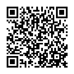 这一个简单的动作顿时让桑德拉直接就哈哈大笑起来二维码生成