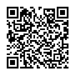 这一个血脉能力将会成为他今后秘藏的杀手锏之一二维码生成