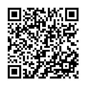 这一个钻石矿既然能够让你们这么多方势力争夺二维码生成