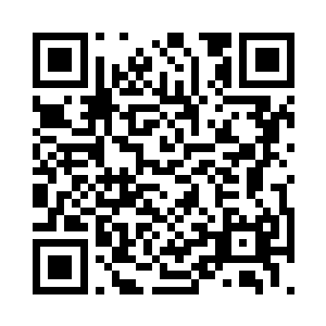 这一件百象之体就以五百万的价格拍下了二维码生成