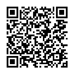 这一份丰厚的经验大礼包足以让马文升到3级还有富余二维码生成