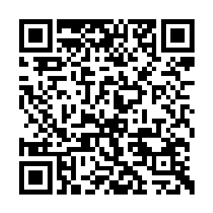 这一份明显属于真仙的气息却彻底震撼了牟司命二维码生成