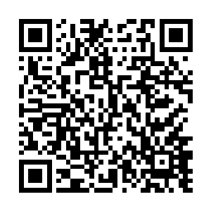 这一击可是比龙傲天刚刚偷袭的那一击要厉害得多了二维码生成