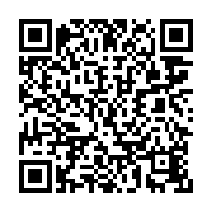 这一击在捕猎的时候很少都有猎物会被直接扑中二维码生成