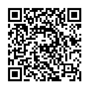 这一击龙傲天再一次带走上上千名源魔殿的弟子的生命二维码生成