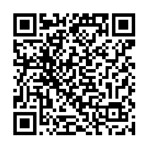 这一切也在梓箐这段时间通过折腾王家人得出了结论二维码生成