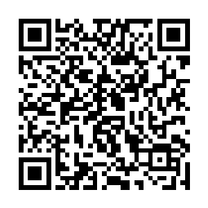 这一切也都是她把曹琳娜的日记给张婧看了才引起的二维码生成