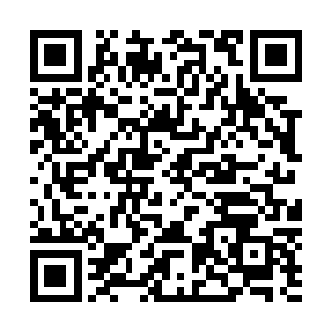 这一切就已经注定了你们白家所有的人只有死这一个下场了二维码生成