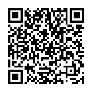 这一切的前提都在珍妮弗和切萨雷这对夫妻的关系上二维码生成