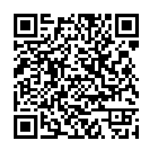 这一切的巧合让时日天做出了相信杨风父子的决定二维码生成