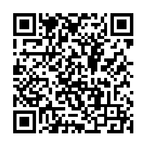 这一切还多亏了那片灭世天火笼罩的范围并不算太大二维码生成