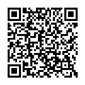 这一切都是因为马文提出的这个前所未有的战术二维码生成