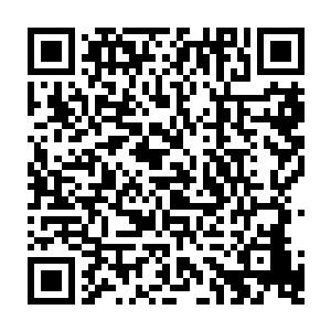 这一刻　有些人甚至都不敢再看　那一幕幕的血腥　已经让他们失去了战斗之心二维码生成