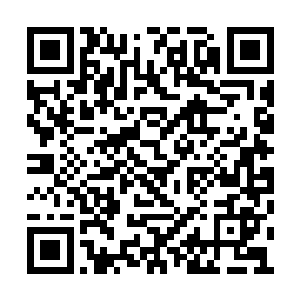 这一刻他也终于知道了圣人之下皆蝼蚁的意思了二维码生成